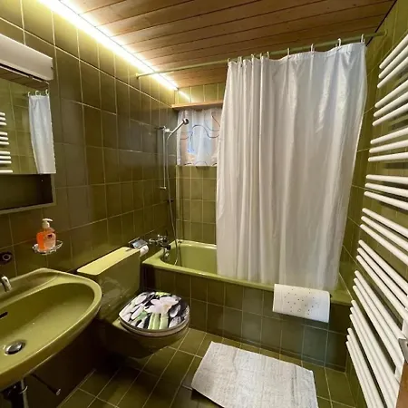 Hofer - 5-bettwohnung Apartment Hasliberg